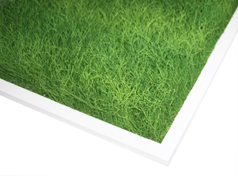 Grassland Grass walls and grass surfaces
